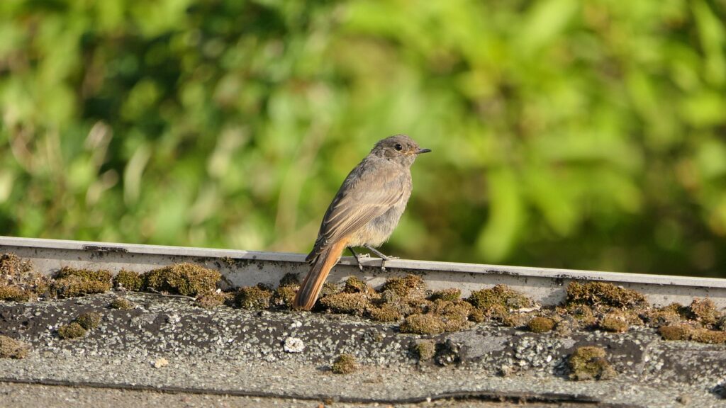 少額積立に最適なおすすめの方法は？