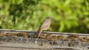 少額積立に最適なおすすめの方法は？