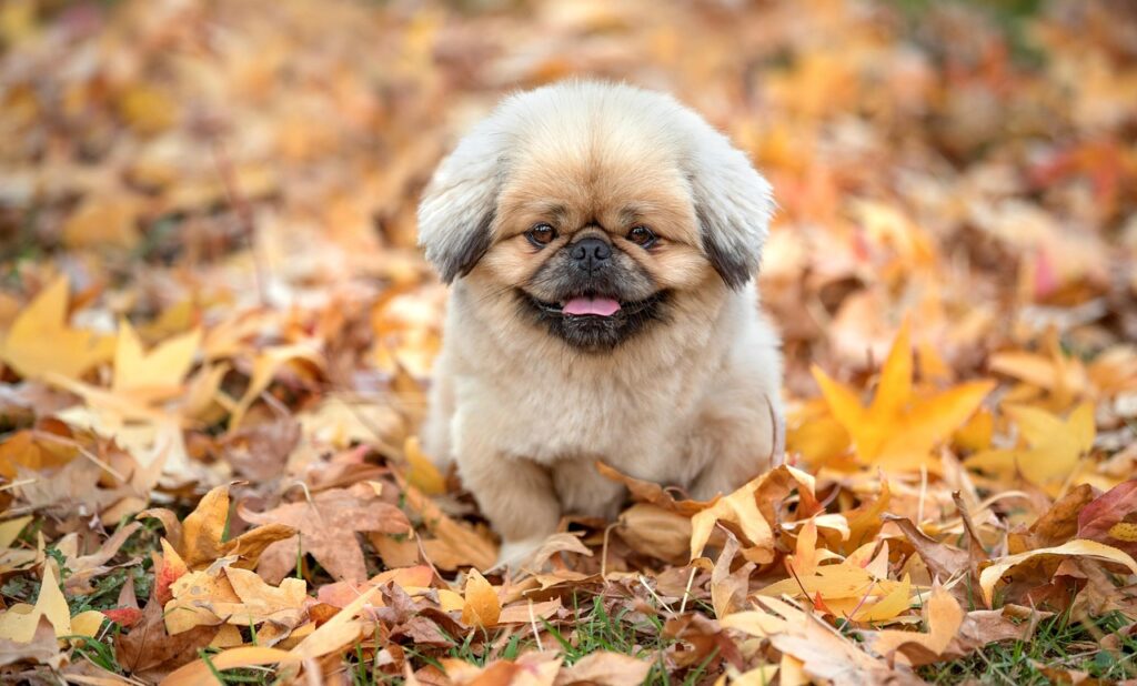 複利効果を利用した少額投資のシミュレーション方法は？