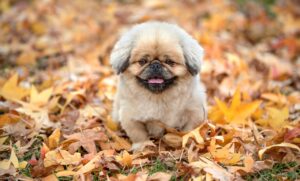 イーサリアムに投資する少額のメリットと将来性は？