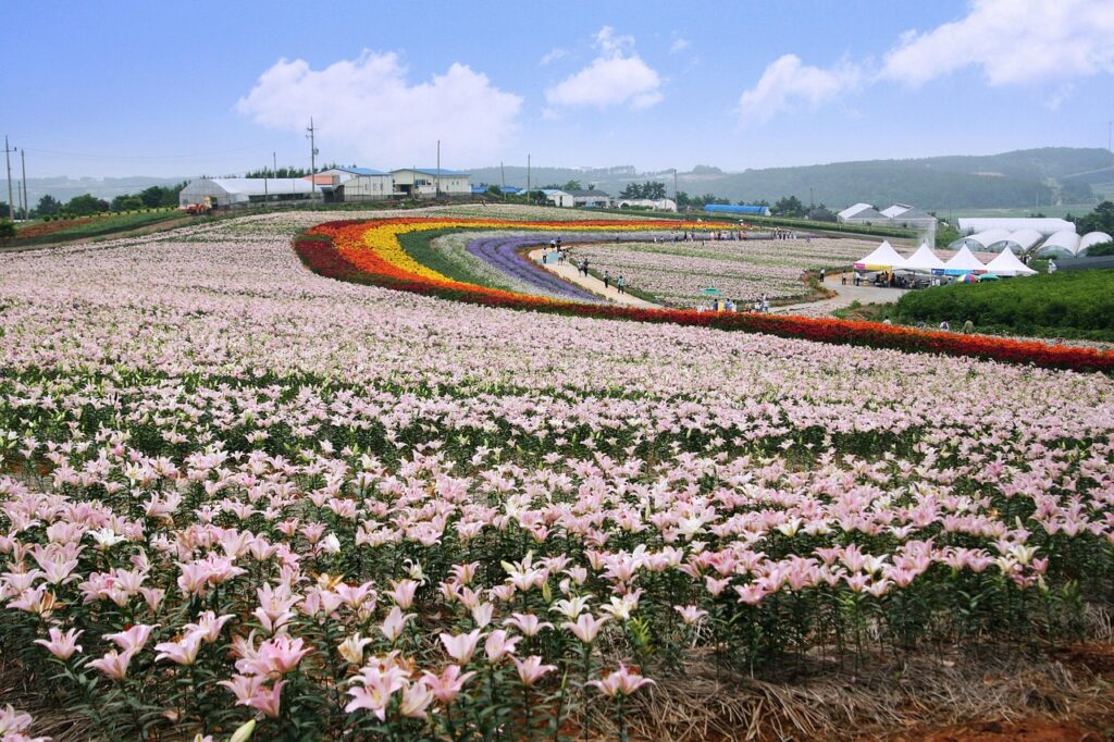 円安対策としておすすめの少額投資方法は？